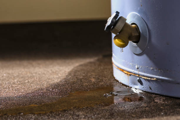 Best Basement water damage restoration  in Sweetwater, TX