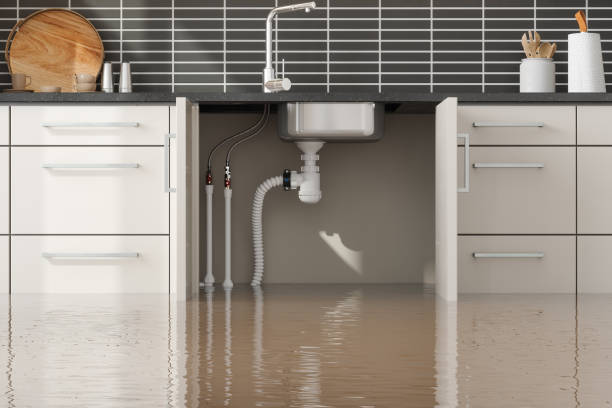 Water damage restoration mold remediation in Sweetwater, TX