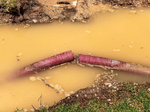 Best Residential water damage restoration  in Sweetwater, TX