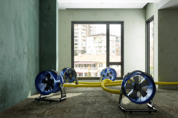  Sweetwater, TX Water damage restoration Pros
